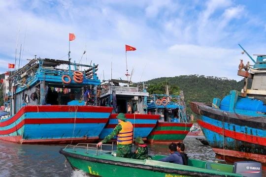 Hải Phòng triển khai nhiều giải pháp ứng phó bão số 11