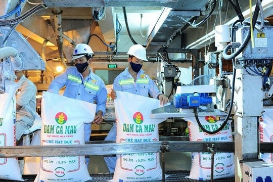 Đạm Cà Mau (DCM) báo lãi 1.686 tỷ đồng sau 9 tháng, vượt 95% kế hoạch năm