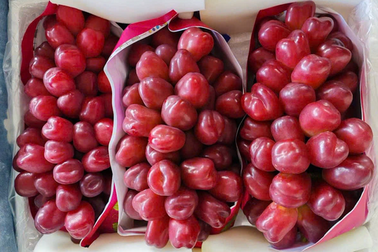 Loại nho mới của Trung Quốc đổ bộ chợ Việt: Hình dáng đặc biệt, giá đắt gấp 10 hàng ‘quý tộc’