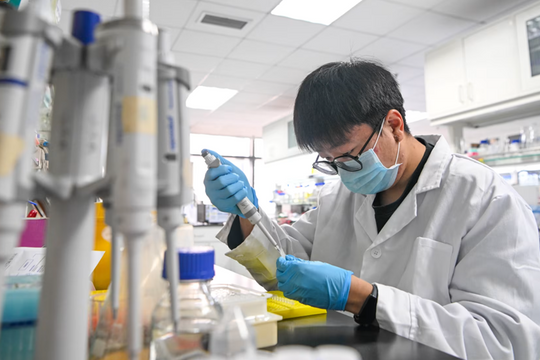 Gần 90 nhà khoa học nổi tiếng rời Mỹ chọn về nước cống hiến, chuyện gì đã xảy ra?
