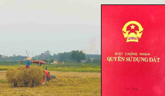 Kể từ nay, những trường hợp này sẽ được cấp đổi sổ đỏ theo quy định