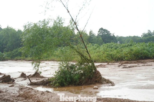 Xử lý nghiêm hành vi lợi dụng thiên tai xả thải chưa xử lý ra môi trường