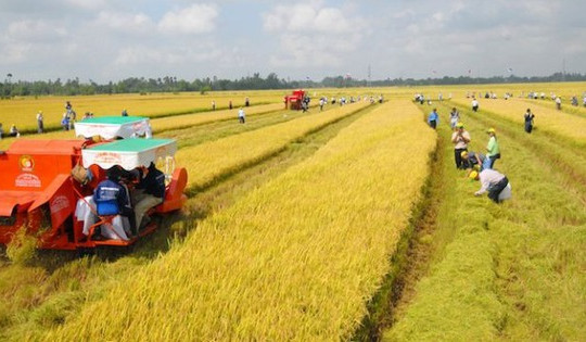 Từ bây giờ, giá đền bù đất trồng lúa khi bị thu hồi đất là bao nhiêu?