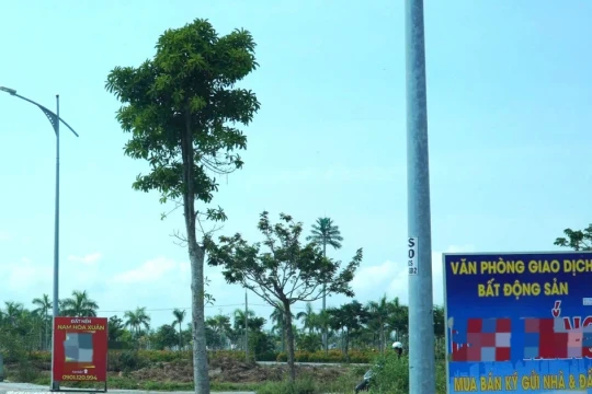 Sau yêu cầu chấn chỉnh, thao túng giá, Đà Nẵng công bố 9 công ty môi giới BĐS