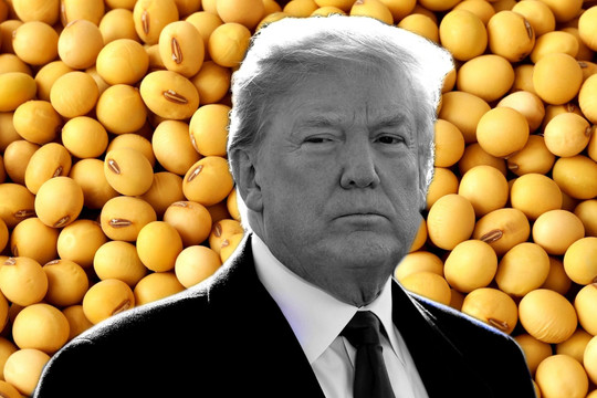 Động thái mới nhất của ông Trump khi Trung Quốc 'bom hàng' đậu nành