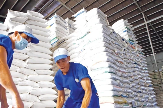 Gạo Việt đi đâu về đâu khi Phillippines, Indonesia siết nhập khẩu?