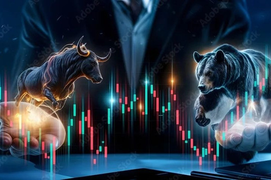 Kỳ vọng bùng nổ lợi nhuận nhờ 2 dự án trọng điểm tại Đồng Nai, khối ngoại tranh mua đẩy NLG tăng trần