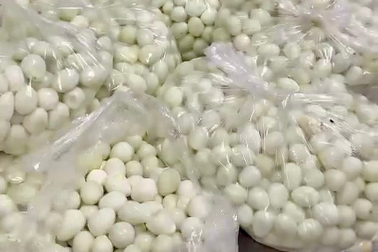 Phụ huynh Hà Nội phát hiện thịt, trứng cút bốc mùi tuồn vào trường học