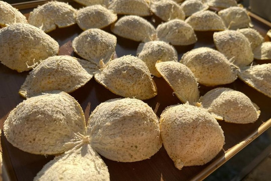 Loại vỏ trái cây thường bị bỏ đi lại được người Trung Quốc coi như thuốc quý giúp thanh lọc gan