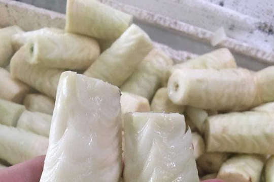 Từ phần gốc tưởng bỏ đi, nay thành đặc sản lạ miệng dân thành phố săn lùng giá 75.000 đồng/kg