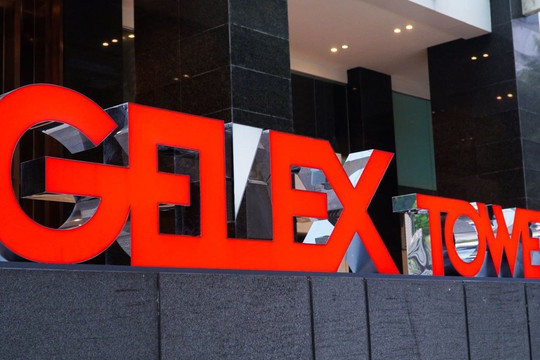 Mẹ của CEO Nguyễn Văn Tuấn đã mua 12 triệu cổ phiếu GEX