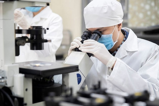 Những người thuộc nhóm đối tượng này sẽ được ưu tiên tuyển dụng vào viên chức và hưởng đãi ngộ đặc biệt