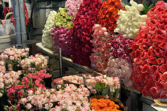 'Thủ phủ hoa' của Hà Nội nhộn nhịp trước 20/10: Tiểu thương không có kịp ngủ, bán từ sáng đến đêm