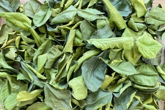 Loại lá rẻ như cho của Việt Nam, chỉ dùng làm gia vị khi ăn thịt gà: Nay là mặt hàng đắt đỏ khi 'xuất ngoại', mang về hơn 700.000 USD, giá bán hơn 6 triệu đồng/kg