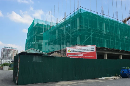 Hàng nghìn người 'kêu trời' vì canh cả tuần vẫn không nộp được hồ sơ nhà ở xã hội online