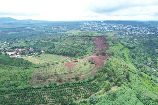 Gia Lai sắp có thêm dự án nông nghiệp công nghệ cao gần 1.700 tỷ đồng