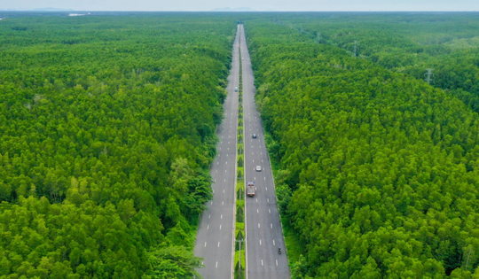 Con đường xuyên rừng 6 làn xe tại thành phố giàu nhất Việt Nam, là tuyến độc đạo kết nối với vùng biển Cần Giờ
