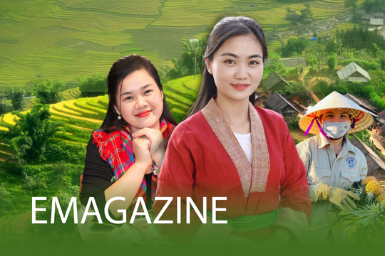 Chuyện về những người phụ nữ bỏ phố về bản làm giàu, gặt ‘quả ngọt’ giữa đại ngàn xa xôi
