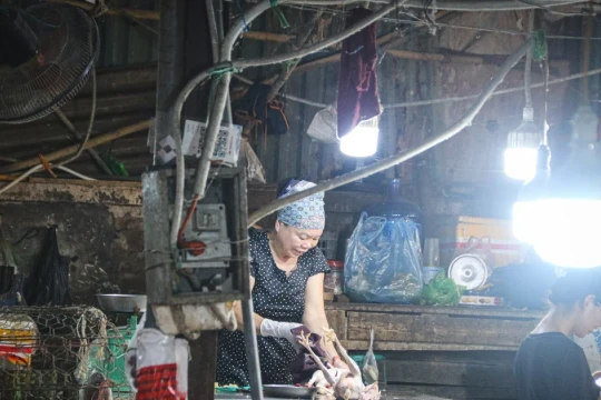 Hà Nội rà soát, chấm dứt hoạt động toàn bộ cơ sở giết mổ gia súc, gia cầm trong khu dân cư