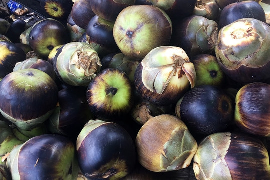 2,5 triệu đồng chỉ mua được 4 quả này ở nước ngoài, ở Việt Nam lại là thứ 'trời cho', được trồng bạt ngàn, giá rẻ như cho