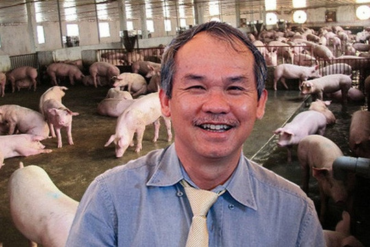 'Chân ái' heo ăn chuối bị bầu Đức cho vào dĩ vãng: Làm ăn thua lỗ, chỉ còn đóng góp tượng trưng