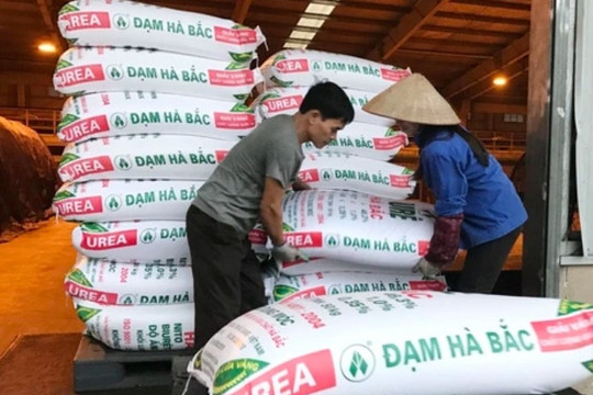 Đạm Hà Bắc (DHB) báo lỗ 96 tỷ đồng trong quý III, sản lượng lao dốc vì phải ngừng máy dài ngày