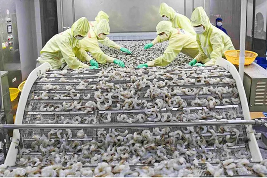 'Báu vật dưới nước' vừa mang về cho Việt Nam hơn 3,4 tỷ USD: Công nghệ chế biến hàng đầu thế giới, Mỹ - Trung - Nhật tranh nhau đặt hàng