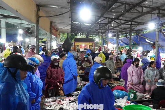 Người dân Đà Nẵng đi mua thực phẩm 'tích trữ 3 ngày' từ tinh mơ