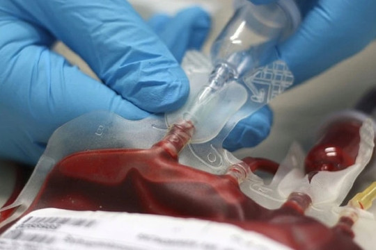 Lần đầu tiên trong lịch sử: Máu người được tạo ra trong phòng thí nghiệm