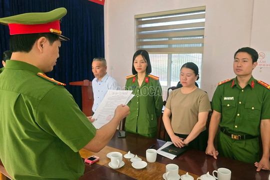 Khám xét nơi ở, bắt tạm giam cán bộ công chức Đinh Thị Diệu Hoa