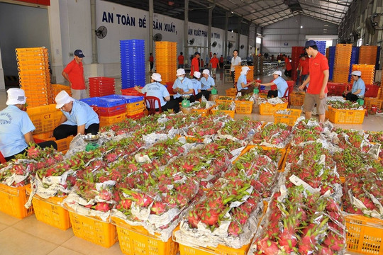 Từ năm 2026, hàng Việt Nam muốn xuất khẩu sang Trung Quốc phải thực hiện việc này nếu không muốn bị 'chặn cửa'