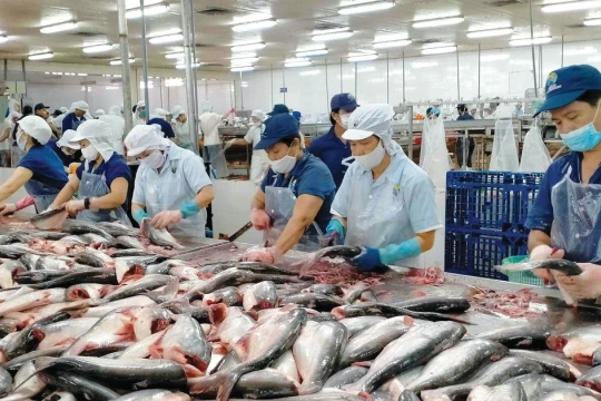 Báo cáo Thủ tướng 'hàng rào' thuế gây khó doanh nghiệp