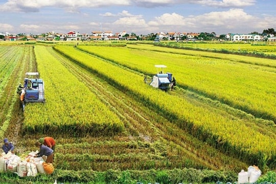 Chuyên gia: Thuế sử dụng đất phi nông nghiệp hiện hành của Việt Nam quá thấp so với thông lệ quốc tế