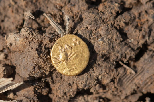 Phát hiện kho báu chứa 500 đồng tiền vàng, 80 món đồ trang sức trên cánh đồng