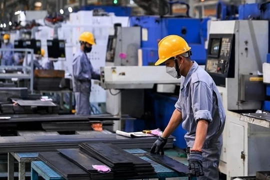 Hai ông lớn ngành nhựa thăng hoa: Lợi nhuận lập kỷ lục, đem nghìn tỷ gửi ngân hàng