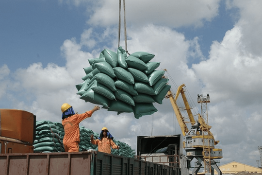 EU siết thẩm định chuỗi cung ứng, doanh nghiệp Việt cần nắm rõ để tránh mất đơn hàng
