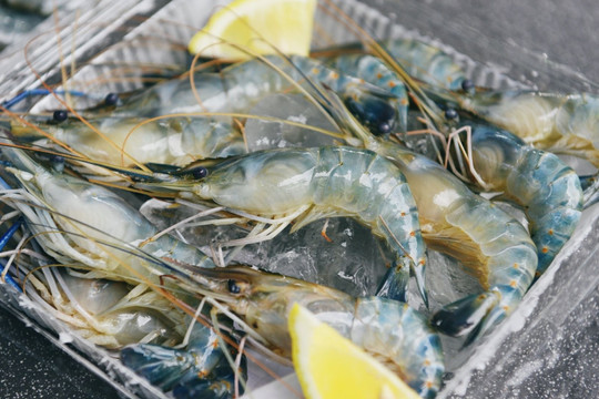 Thuế đối ứng 'thổi bay' gần 200 tỷ, một cổ phiếu ngành thủy sản vẫn trở thành tâm điểm đầu tư