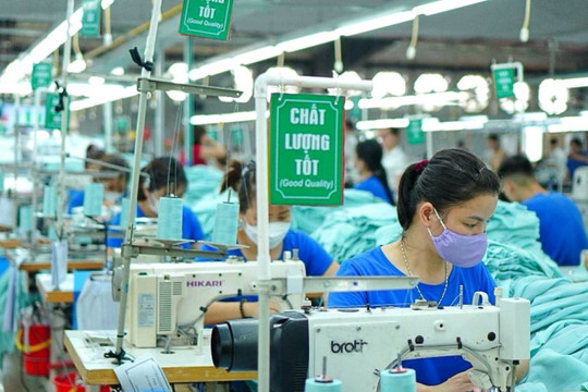 Công ty liên kết của TNG giải thể sau khi giảm vốn từ 300 tỷ xuống còn 60 triệu đồng