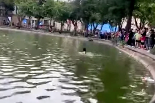 Thông tin chính thức vụ cô gái tử vong bất thường ở hồ Hoàn Kiếm