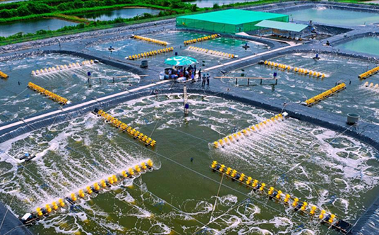 Một 'mỏ vàng' của Việt Nam gây sốt tại EU: Thu về 434 triệu USD chỉ sau 9 tháng, nước ta sở hữu công nghệ chế biến hàng đầu thế giới