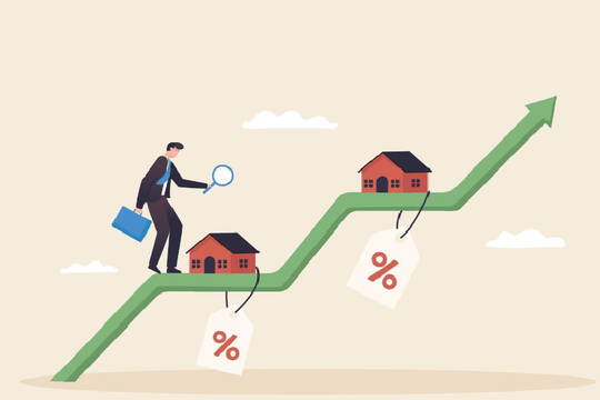 Cập nhật BCTC quý III/2025: Thêm nhiều doanh nghiệp công bố kết quả bất ngờ