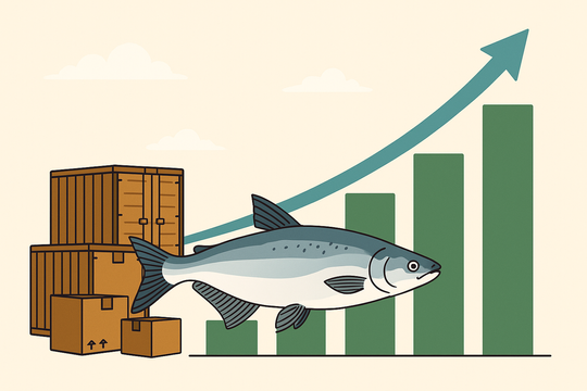 Doanh nghiệp cá tra báo lãi bùng nổ, dự kiến xuất khẩu tiếp tục tăng mạnh trong quý cuối năm
