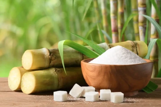 Đường Quảng Ngãi (QNS) mang 7.300 tỷ gửi ngân hàng, lãi 9 tháng vượt 1.300 tỷ đồng