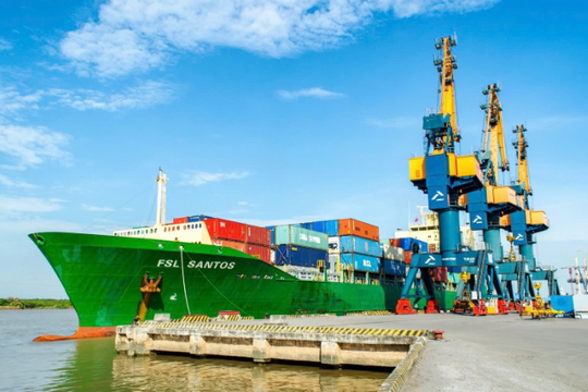 Cổ phiếu Viconship (VSC) giảm gần 40%, rời danh mục tự doanh của một CTCK