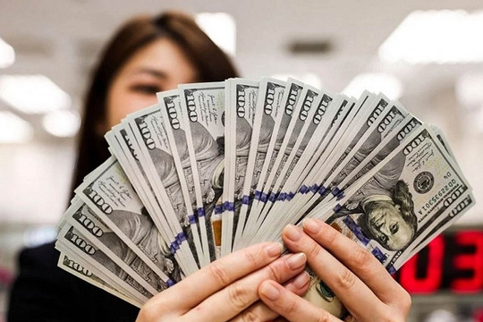 VDSC: Giá USD tự do tăng đột biến có thể liên quan đến diễn biến thị trường vàng