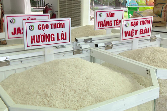 Giá gạo xuất khẩu thấp nhất trong 10 năm, vì sao thị trường bán lẻ trong nước vẫn chưa 'hạ nhiệt' ?