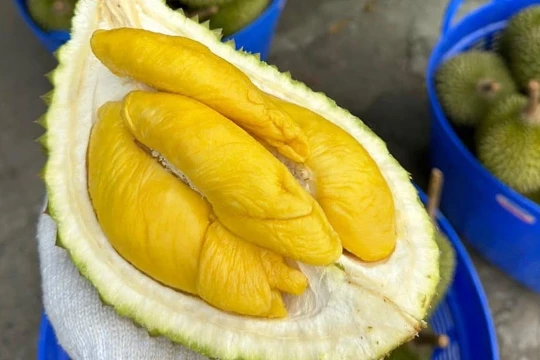Quê hương của Musang King phải nhập khẩu sầu riêng Việt Nam để bán vì lý do này