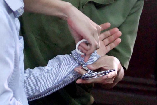 Đề nghị truy tố vợ chồng đại gia Việt bị truy nã quốc tế