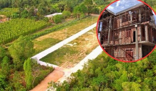 Kể từ nay, đáp ứng điều kiện này mới được phép chuyển đổi đất trồng cây lâu năm sang đất ở