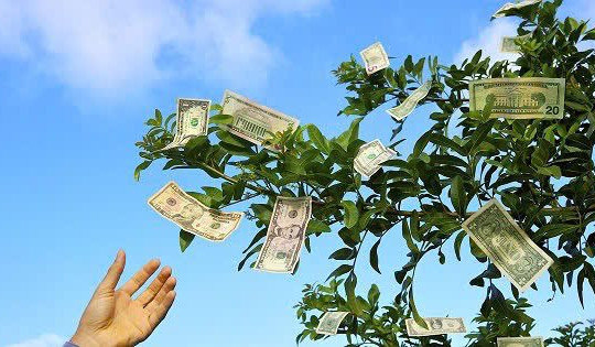 Một doanh nghiệp chốt quyền chia cổ tức tiền mặt 12,5%